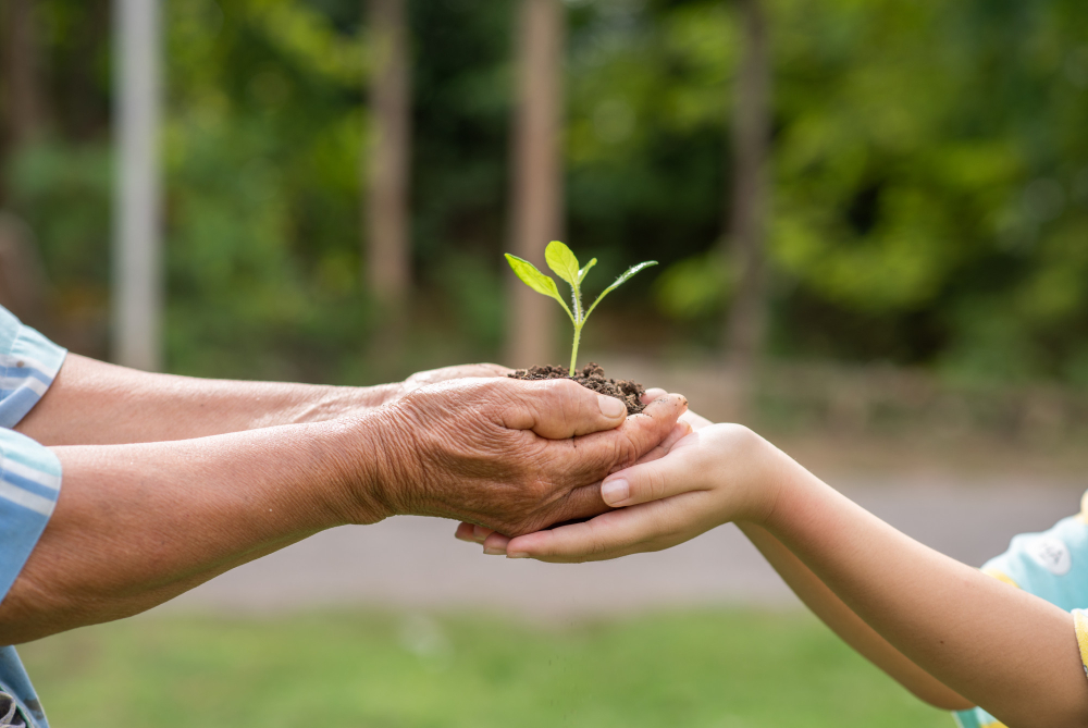 Green Bonds Get Structured: The Rise of Index-Based Eco Portfolios